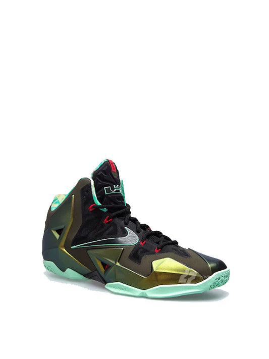 LEBRON 11 KINGS PRIDE