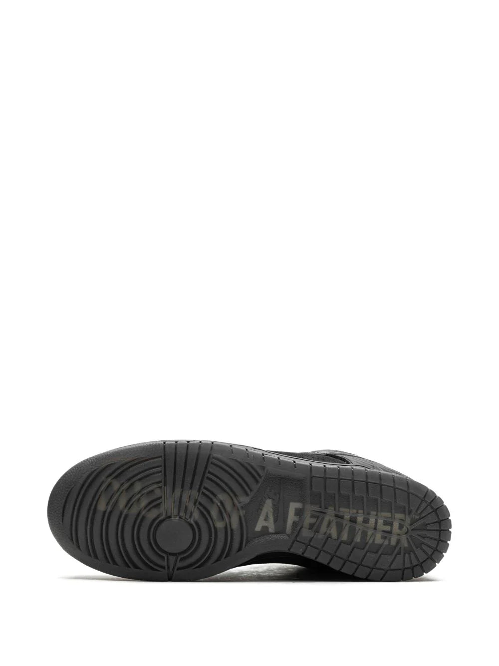 NIKE DUNK DUCKS OF A FEATHER BLACK UNIVERSITY OF OREGON PE LOW