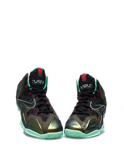 LEBRON 11 KINGS PRIDE